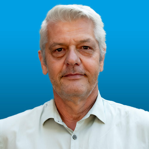 Stef Wijnands